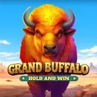 Grand Buffalo Hold and WinBgaming