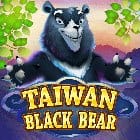 Taiwan Black Bear game thumbnail
