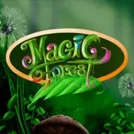 Magic ForestCaleta